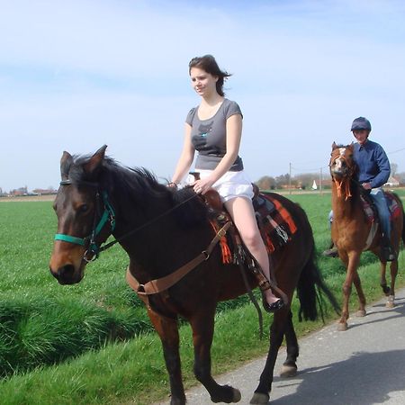 B&B Kanegem Onverbloemd Tielt Dış mekan fotoğraf