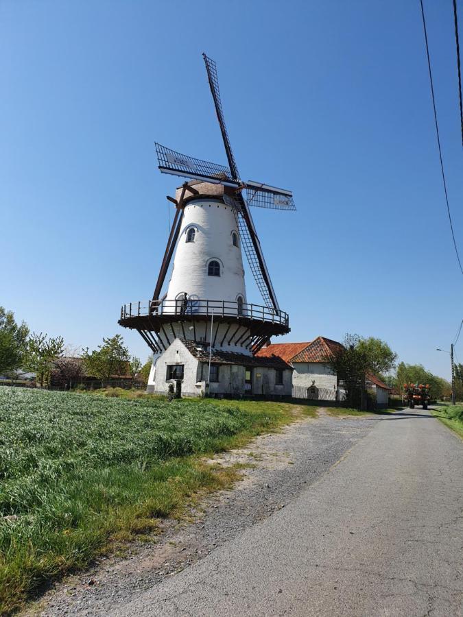 B&B Kanegem Onverbloemd Tielt Dış mekan fotoğraf