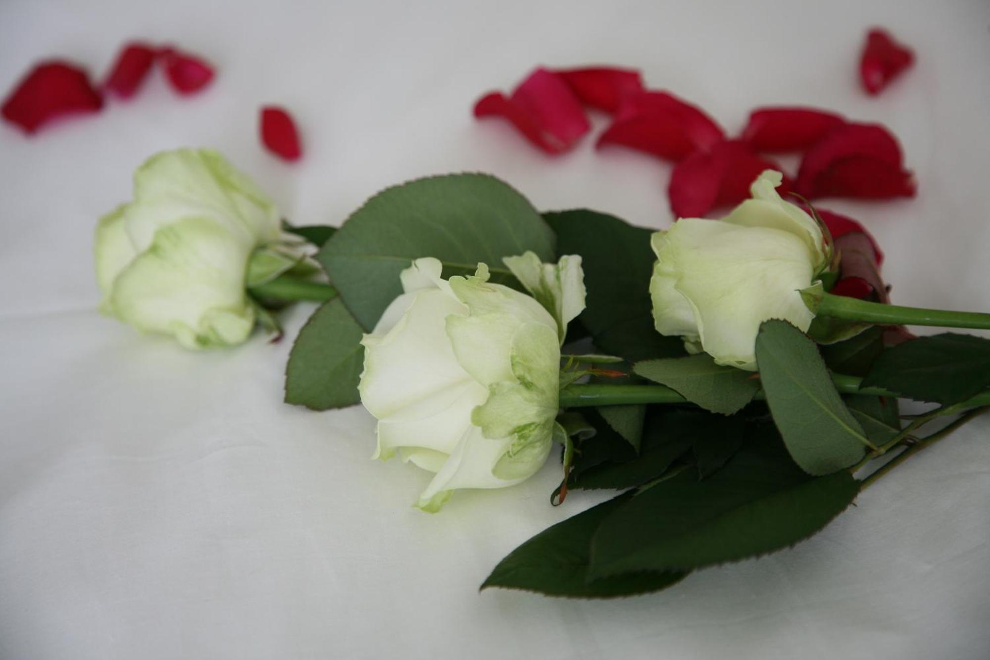 B&B Kanegem Onverbloemd Tielt Dış mekan fotoğraf