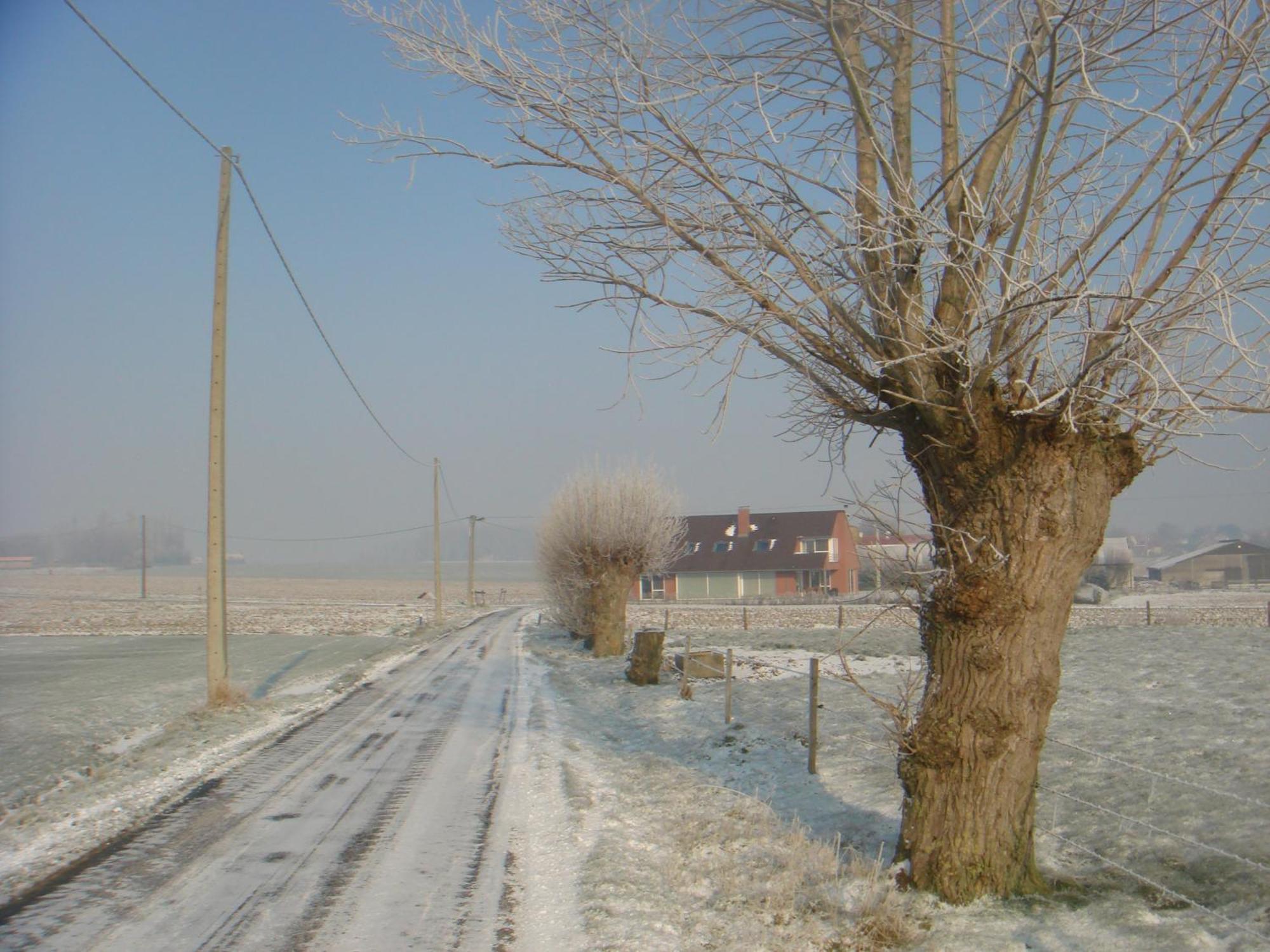 B&B Kanegem Onverbloemd Tielt Dış mekan fotoğraf